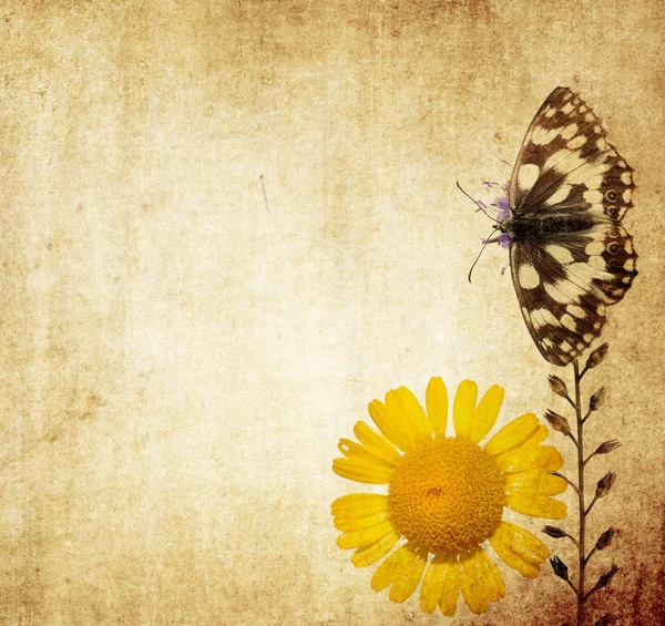Kelebek ve çiçek elemanları ile çok güzel arka plan resmi. çok kullanışlı tasarım öğesi. — Stok fotoğraf