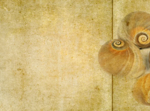 Πράσινο φόντο εικόνα με ενδιαφέρουσα υφή και close-up ενός σαλιγκαριού — Φωτογραφία Αρχείου