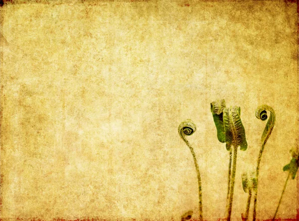 Квіткове зображення тла з цікавою текстурою — стокове фото