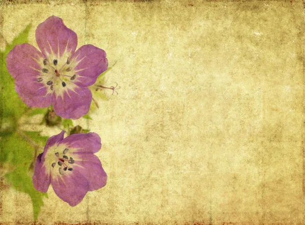 Floral φόντο και σχεδιασμός στοιχείο — Φωτογραφία Αρχείου