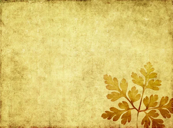 Lovely background image with earthy texture. useful design — Stock Photo, Image
