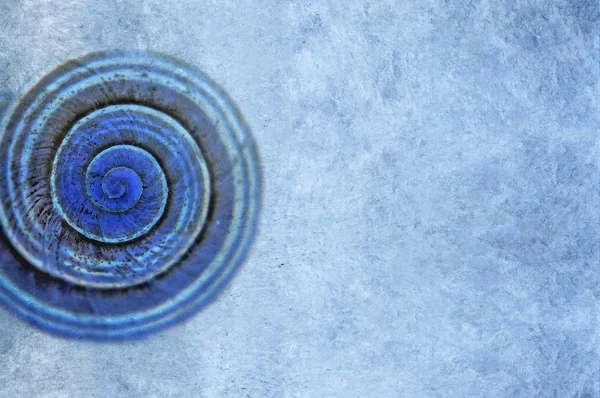 Μπλε φόντο εικόνα με ενδιαφέρουσα υφή, κινηματογράφηση σε πρώτο πλάνο της ένα σαλιγκάρι και άφθονο χώρο για κείμενο — Φωτογραφία Αρχείου