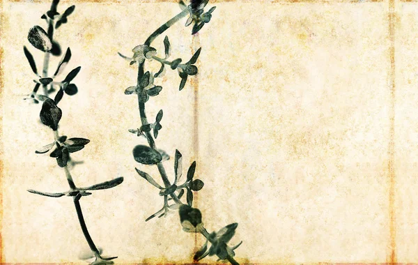 Imagem de fundo floral com textura interessante — Fotografia de Stock