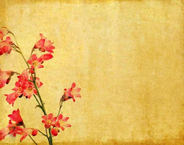 Dünyevi arka plan görüntüsü ile çiçek öğeleri — Stok fotoğraf