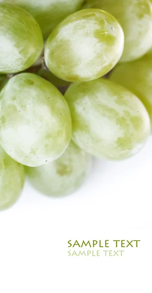 Juicy grapes against white background — Stock Photo, Image