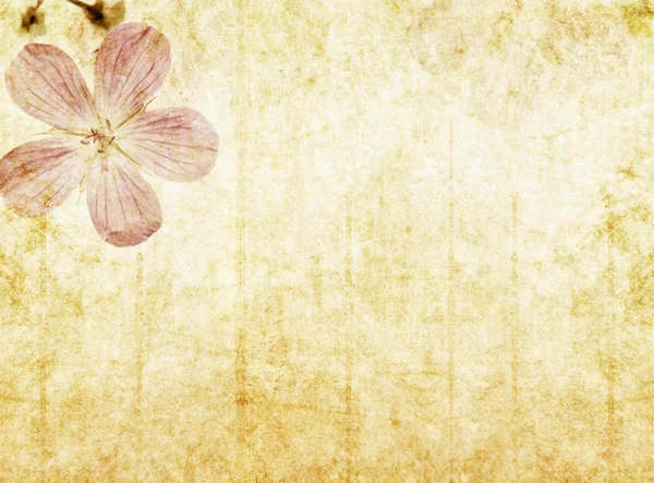 Earthy background image with floral elements Stock Image