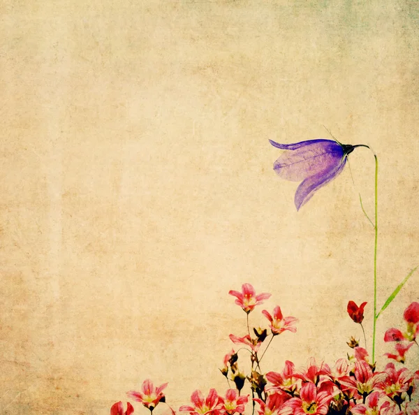 Jordnära floral bakgrund bild och design element — Stockfoto