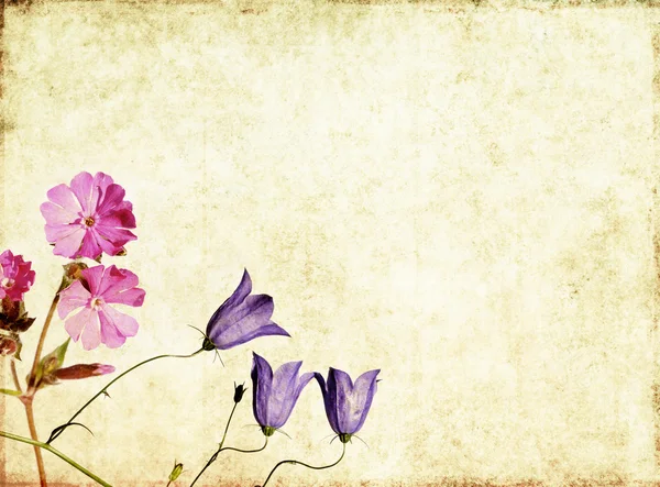 Aardse bloemen achtergrond afbeelding en ontwerp element — Stockfoto