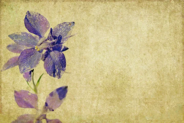 Erdiges florales Hintergrundbild — Stockfoto