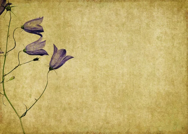 Zemité květinové pozadí obrázek — Stock fotografie