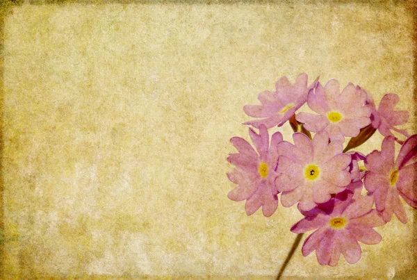 Blomster baggrund med jordet tekstur - Stock-foto