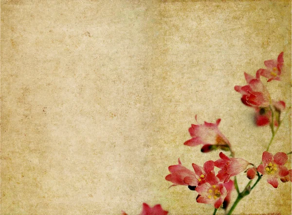Floral φόντο με γήινα υφή — Φωτογραφία Αρχείου