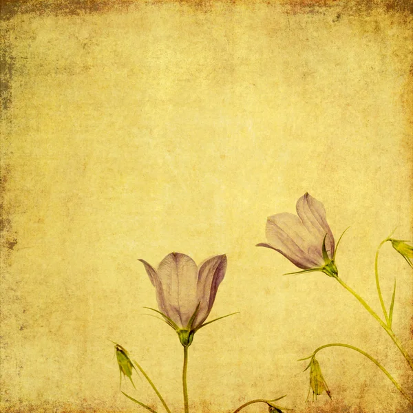 Lindo fundo floral — Fotografia de Stock