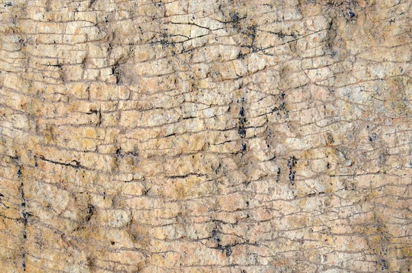 Textura de pedra interessante — Fotografia de Stock