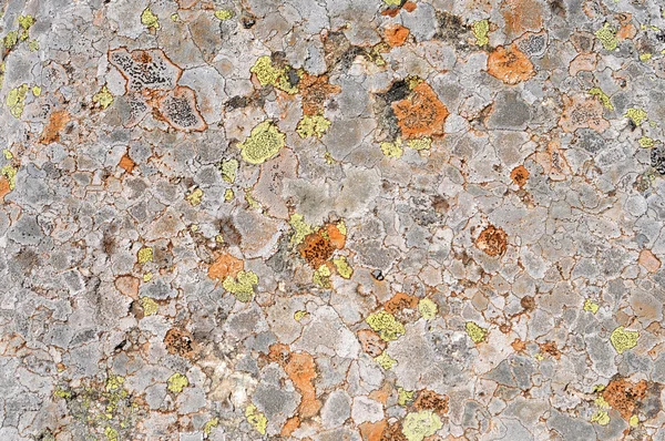 Zajímavá kamenná textura — Stock fotografie