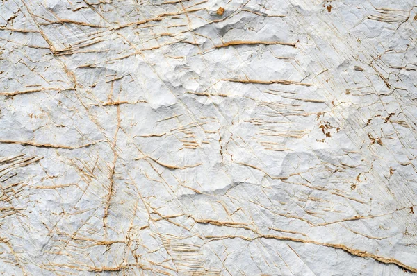Интересная текстура камня — стоковое фото
