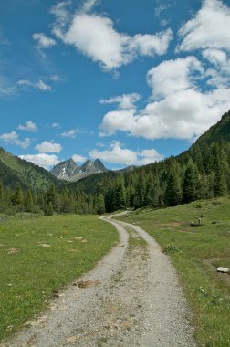 Majestic alpine peyzaj