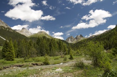 Majestic alpine peyzaj