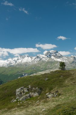 Alp peyzaj engadine Vadisi, İsviçre