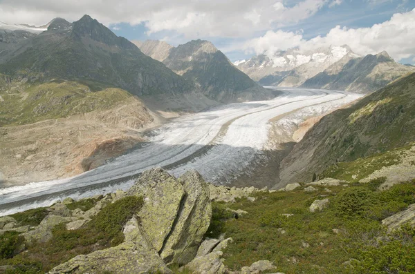 O Grande Glaciar Aletsch — Fotografia de Stock