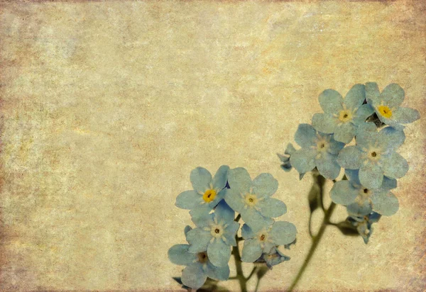 Fond floral terreux — Photo