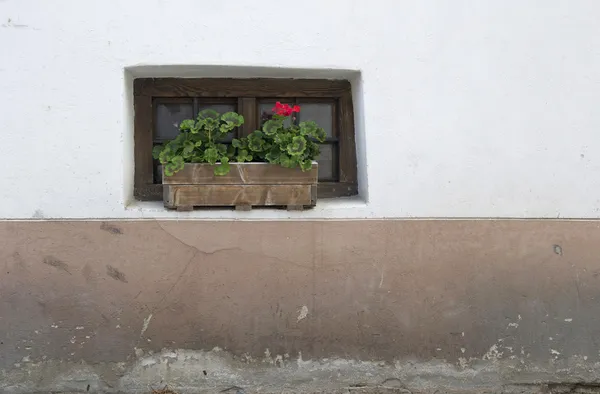 Décoration murale et fenêtre européenne traditionnelle — Photo