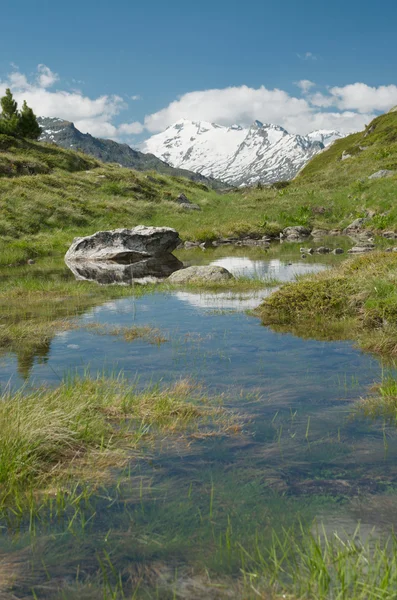 Alpine lake and panorama — Stock Photo, Image