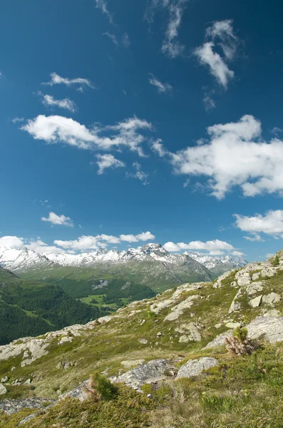 Alpine landschap in het dal van Engadin, Zwitserland — Stockfoto