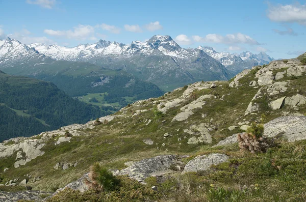 Alpesi táj az Engadine-völgy, Svájc — Stock Fotó