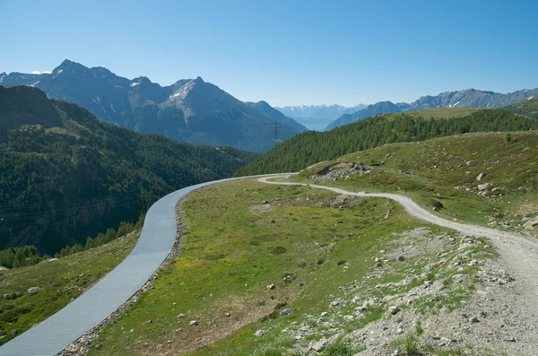Альпийский пейзаж в Валь-Поскьяво, Швейцария — стоковое фото