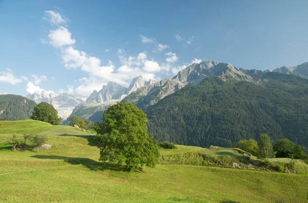Альпийский пейзаж в долине Брегалья, Швейцария — стоковое фото
