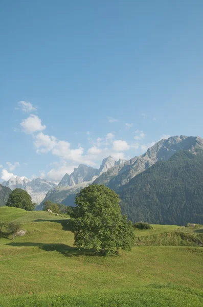 Alpine landschap in de vallei van de bregaglia, Zwitserland — Stockfoto