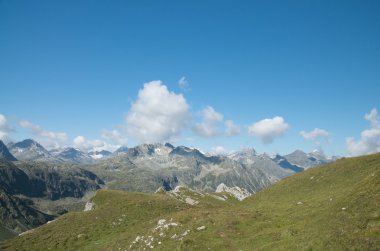 Alp Manzarası