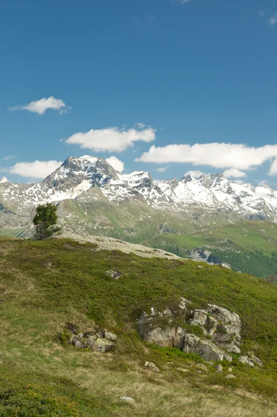 Alpesi táj — Stock Fotó