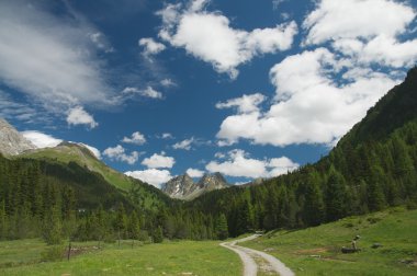 Majestic alpine peyzaj