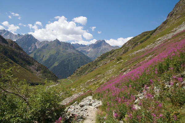 Majestatyczny krajobraz alpejski — Zdjęcie stockowe