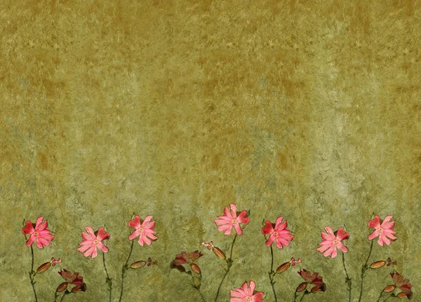 Mooie aardse bloemen achtergrond en ontwerp element — Stockfoto