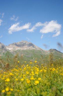 Swiss alpine peyzaj