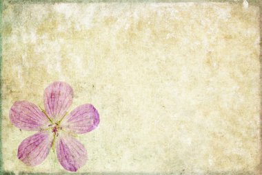 çiçek öğeleri ile dünyevi arka plan görüntüsü. kullanışlı tasarım öğesi.