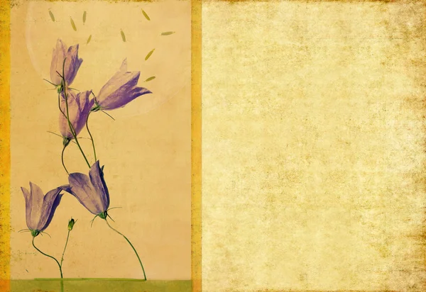 Γήινα floral σχέδιο στοιχείο με αντίγραφο χώρου — Φωτογραφία Αρχείου