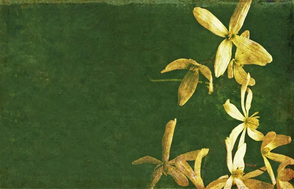 Jordnära blommönster element med kopia utrymme — Stockfoto