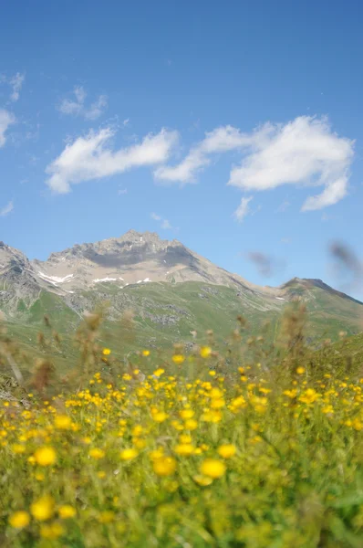 Svájci alpesi táj — Stock Fotó