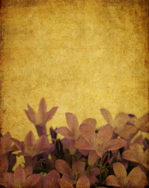 Preciosa imagen de fondo con elementos florales. elemento de diseño útil . — Foto de Stock
