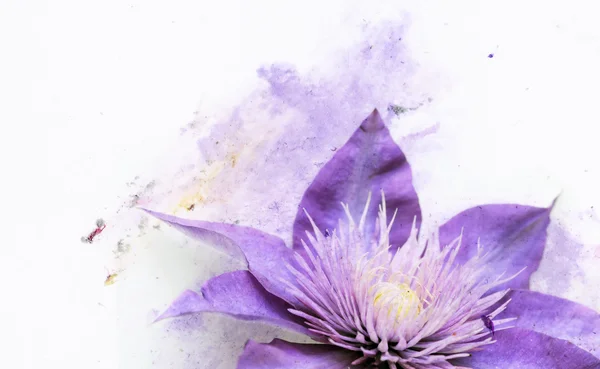 Colorida ilustración con elementos florales. elemento de diseño útil . — Foto de Stock