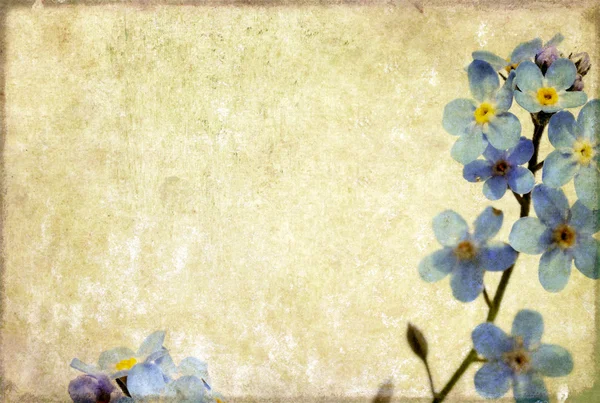 Γήινα υπόβαθρο εικόνα με floral στοιχεία. στοιχείο του σχεδιασμού χρήσιμες. — Φωτογραφία Αρχείου
