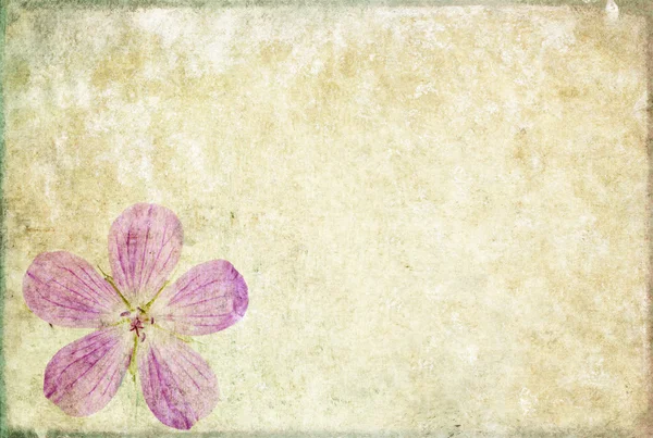 Erdiges Hintergrundbild mit floralen Elementen. Nützliches Gestaltungselement. — Stockfoto