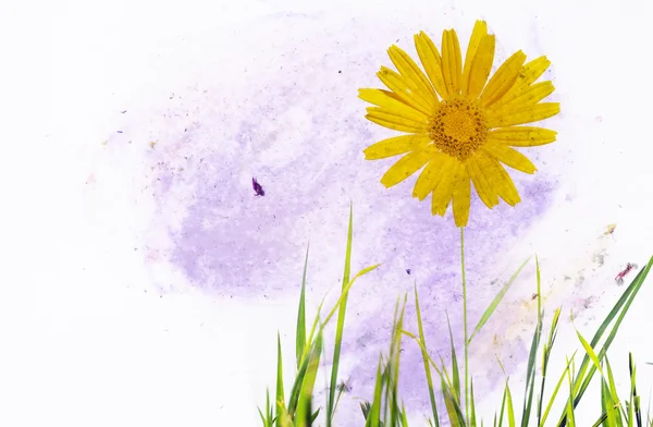 土黄色背景图像与花卉元素。有用的设计元素 — 图库照片