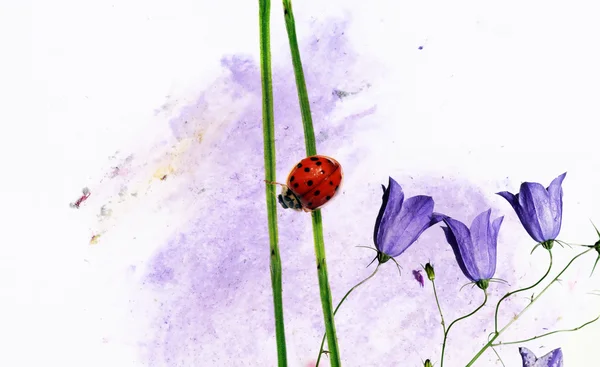 무당벌레와 꽃 요소와 아름 다운 배경 이미지입니다. 유용한 디자인 요소. — 스톡 사진