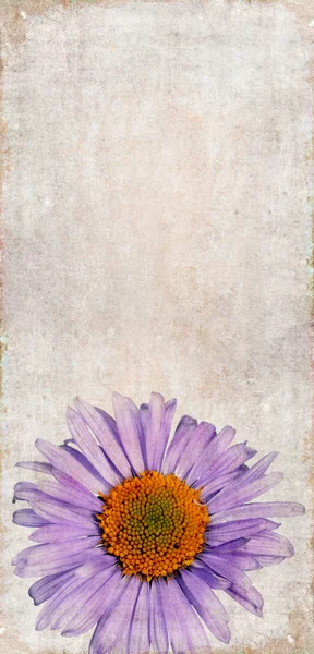 Erdiges Hintergrundbild mit floralen Elementen. Nützliches Gestaltungselement. — Stockfoto