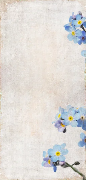 Aardse achtergrondafbeelding met florale elementen. nuttige ontwerpelement. — Stockfoto